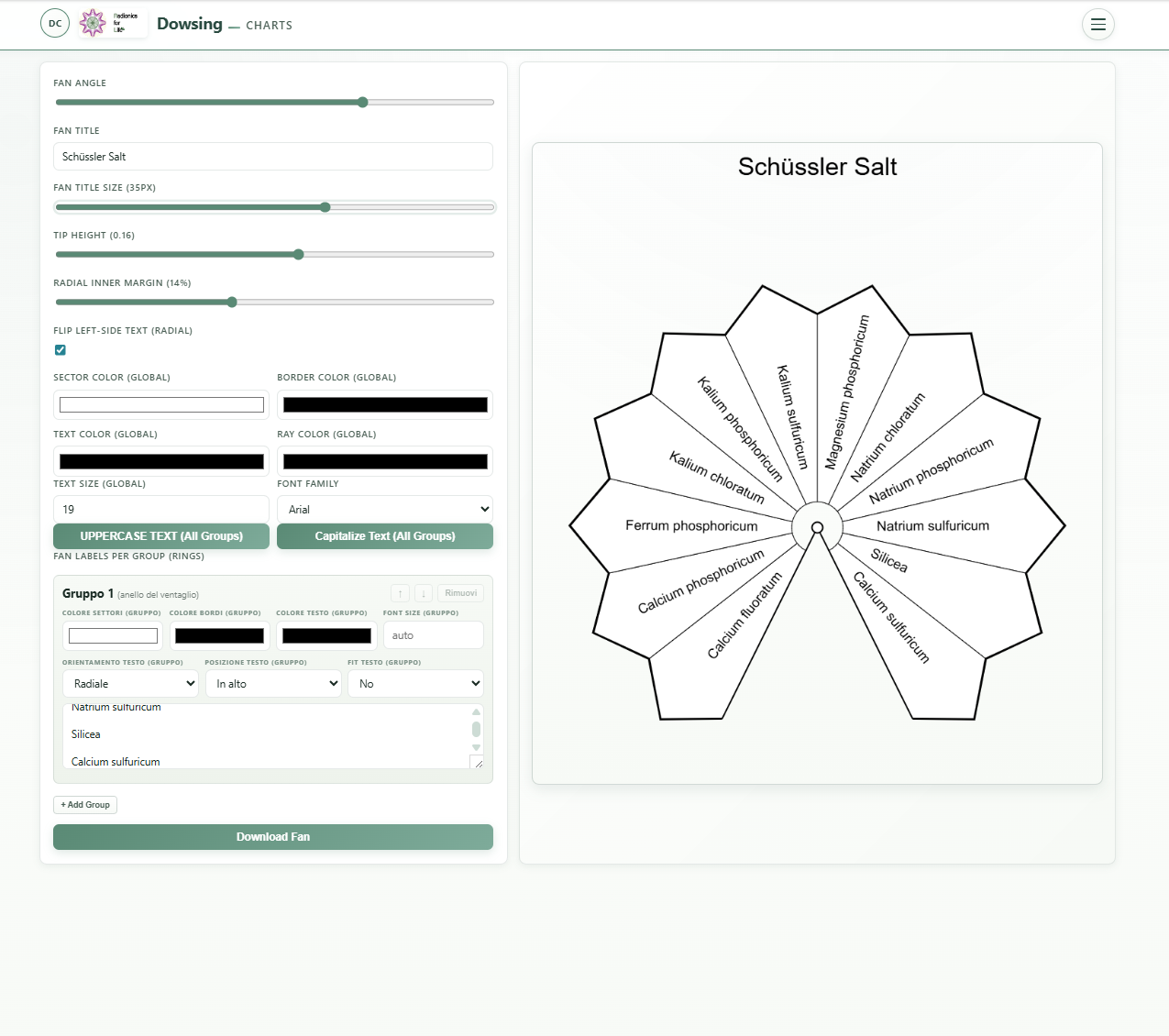 Schermata del Dowsing Charts Maker di Radionics for Life, usato per creare un quadro radiestesico personalizzato